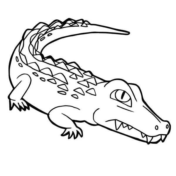 Roztomilý Krokodýl karikatura zbarvení stránky vektor — Stockový vektor