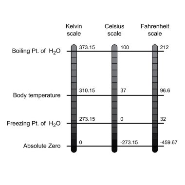 comparison of three temperature scales vector clipart