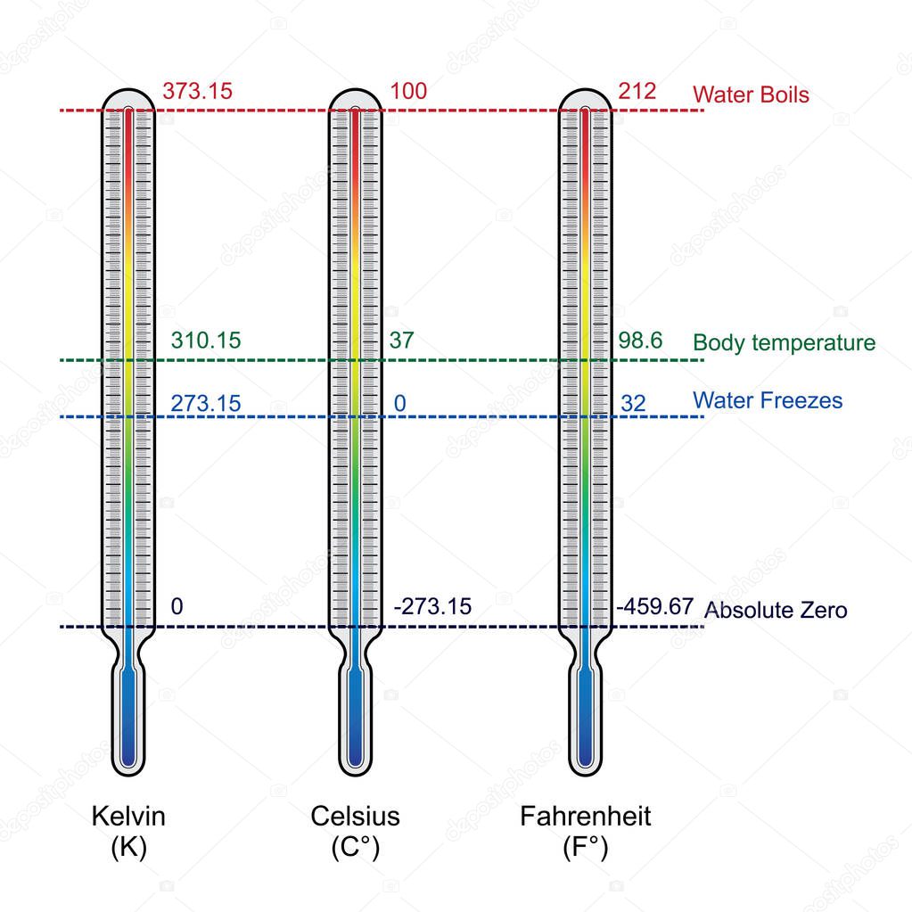 comparison of three temperature scales vector