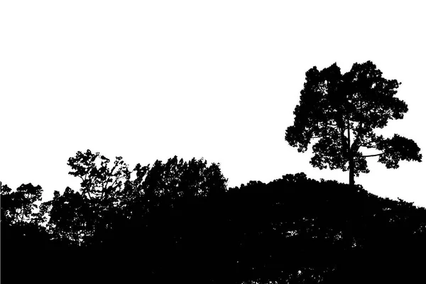 Ensemble de vecteur de silhouette d'arbre — Image vectorielle