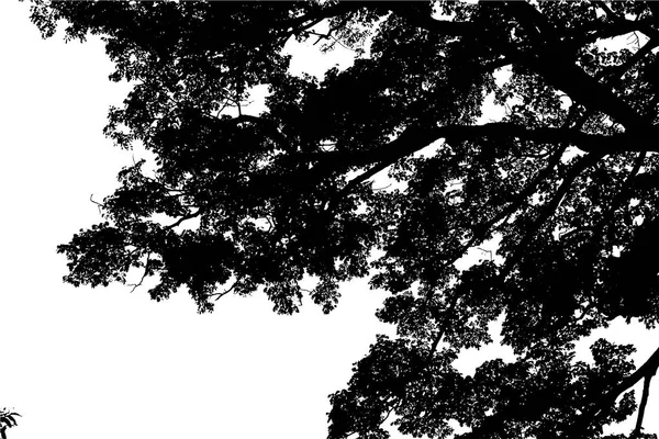 Vettore silhouette albero — Vettoriale Stock