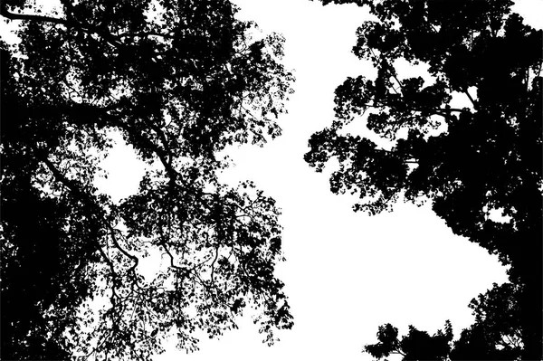 Arbre silhouette vecteur — Image vectorielle