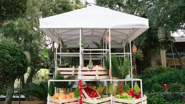 Greengrocer Stånd Tomater Bönor Apelsiner Majs Granatäpple Aubergine Peppar Paprika — Stockvideo