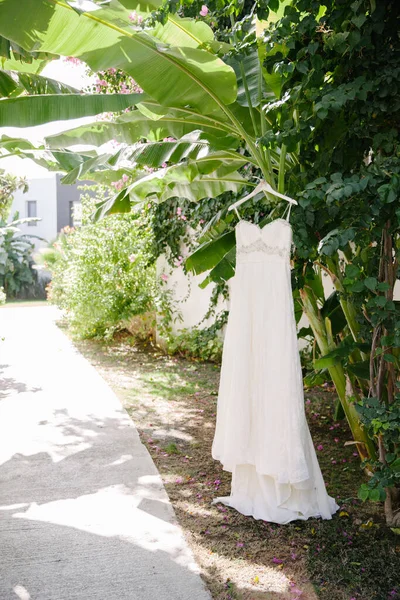 Svatební Šaty Visí Zahradě Slunečné Teplé Počasí — Stock fotografie