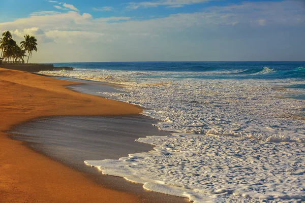 Ocean shore with yellow sand — Stock Photo, Image