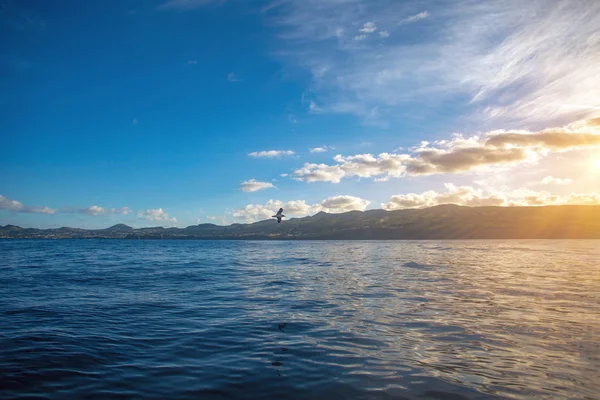 Küstenblick auf Azoren vom Wasser aus — Stockfoto