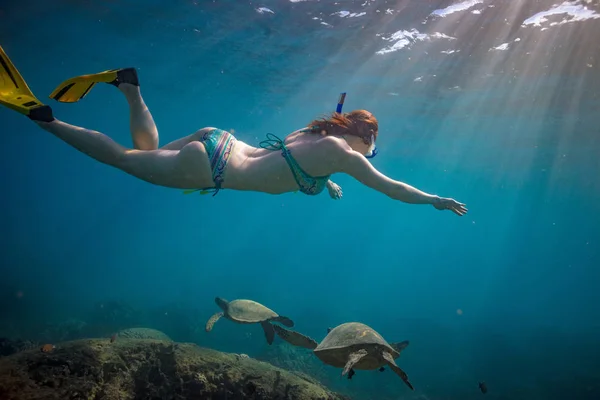 Vida silvestre submarina en aguas azules del océano Pacífico —  Fotos de Stock