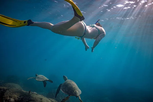 Volný potápěč dívka sledování volně žijících živočichů v oceánu — Stock fotografie