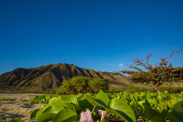 Paisagem bonita por praia tropical — Fotografia de Stock