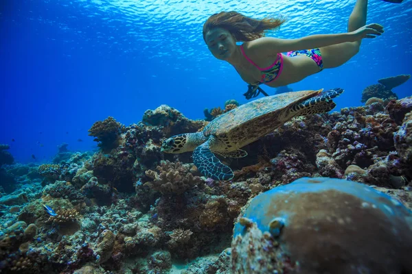 Um modelo nadando em águas tropicais com animais marinhos subaquáticos — Fotografia de Stock