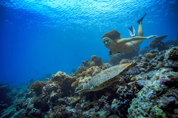 Un modello di nuoto in acqua tropicale con animali marini sott'acqua — Foto Stock