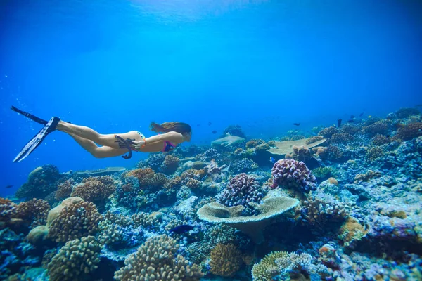 Un modelo nadando en aguas tropicales con animales marinos bajo el agua — Foto de Stock