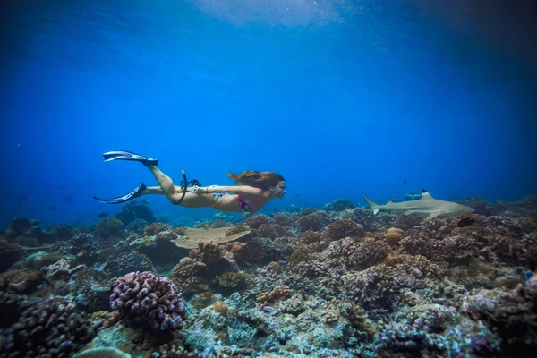 Une fille avec des nageoires nage sous l'eau dans l'eau maldivienne — Photo