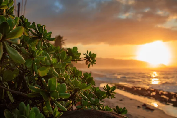 Tropik plajda gün batımı — Stok fotoğraf