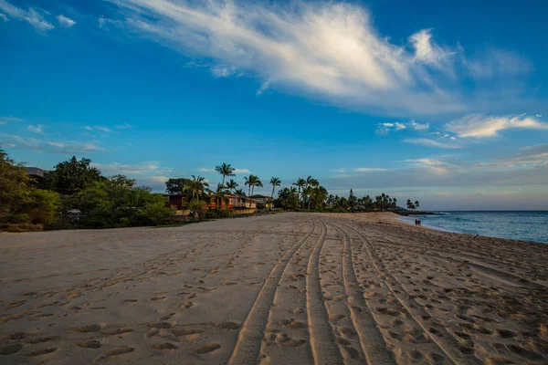 Západ slunce u pláže s palmami — Stock fotografie
