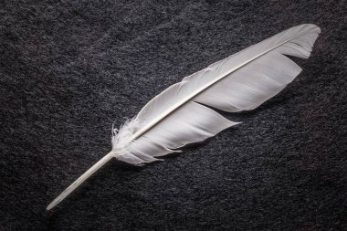 24 Megapiksel makro atış siyah keçe üzerinde tam beyaz tüy