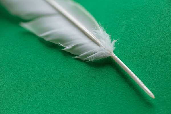 Soft focus macro shot of calamus or hollow part of white feather with shallow depth of field texture on green felt background