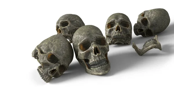 Crânes Humains Avec Ombres Isolés Sur Fond Blanc — Photo