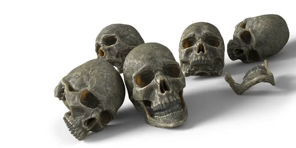 Human Skulls Shadows Isolated White Background — Stock Photo, Image