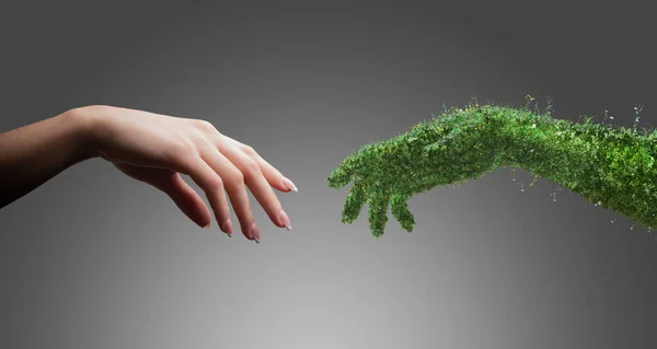 女性と自然の手の概念生態学的デザイン — ストック写真