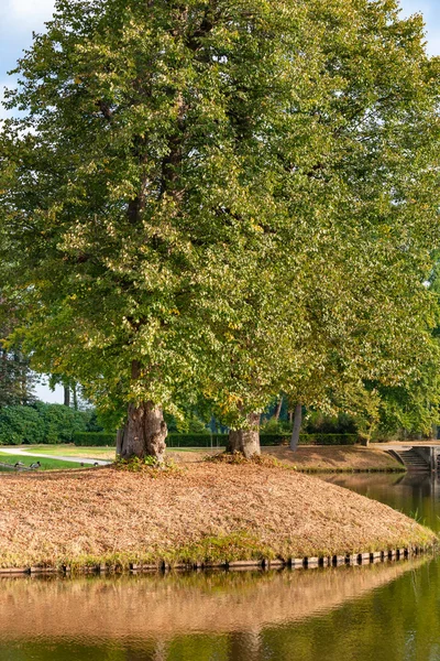 Las hojas de otoño caen de los árboles en el día soleado. Parque del castillo en t —  Fotos de Stock