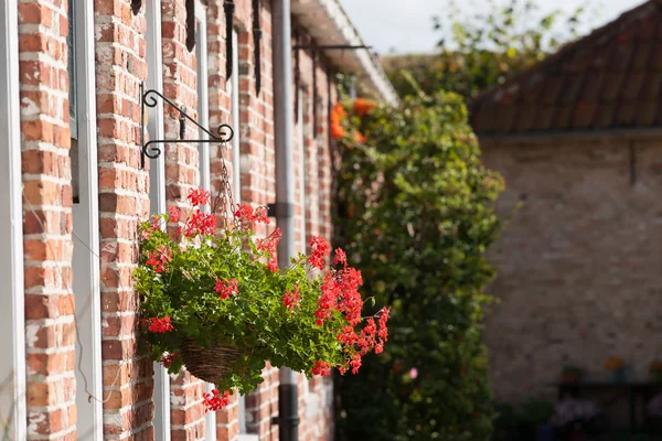 Ljusa färgglada BLOMSTERKORG på gamla historiska husfasader. — Stockfoto