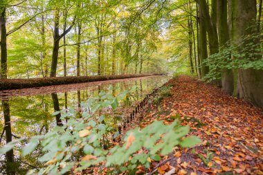 Sonbahar su hendek ve kanallar Voorsterbo tarafından sahip