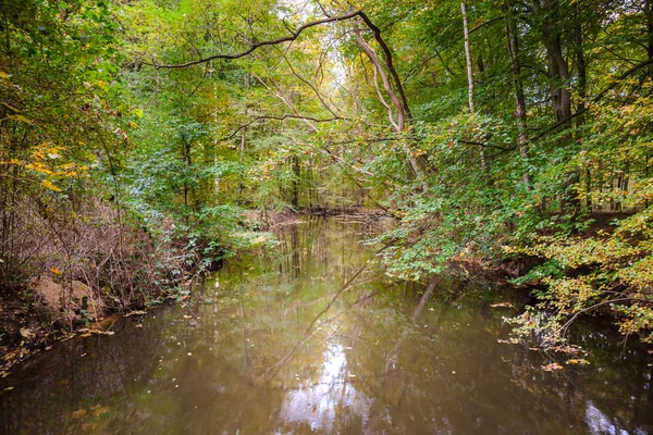 Autumn in the forest with water ditches and canals by Voorsterbo — Stock Photo, Image