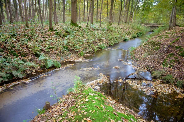 Flowing water in stream long shutter Dutch autumn forest — Stock Photo, Image