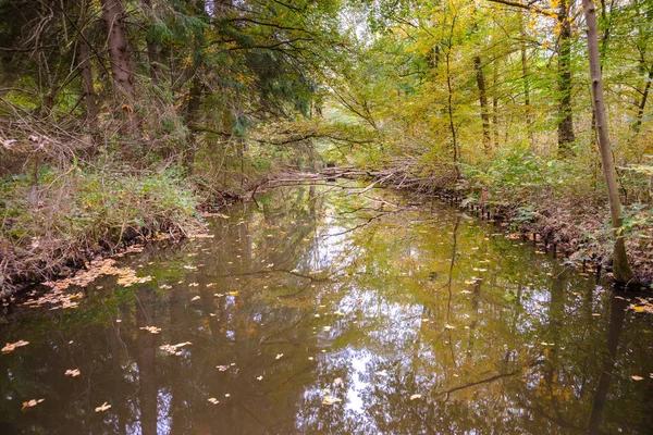 Outono na floresta com valas de água e canais por Voorsterbo — Fotografia de Stock