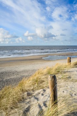 Kum tepeleri sahilden görüntüleyin