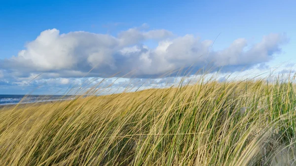 Kijk op het strand van de duinen — Stockfoto