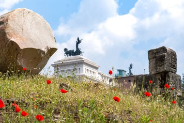 Antik Roma'nın kalbinde yaptı. Bu çiçekler arasında 