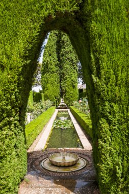 Details in the gardens of the Generalife in Alhambra. Granada, S clipart