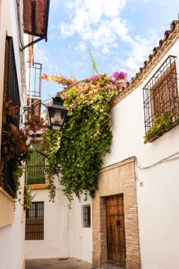 Andalusia veya yerleşim Blancosin beyaz şehirleri illeri