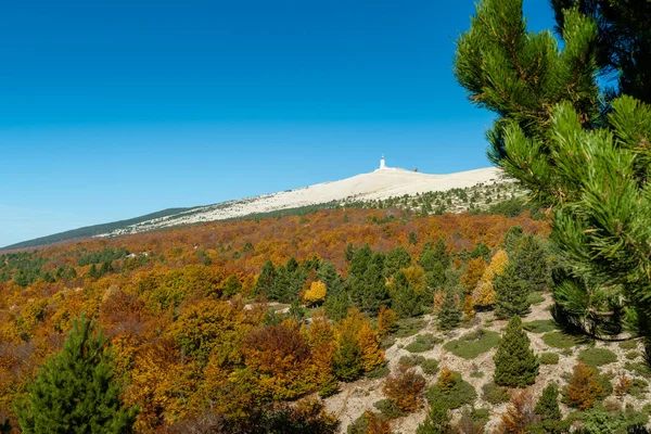 Vista panorámica hermoso otoño en el bosque en las laderas de t — Foto de Stock