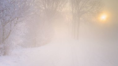 Büyük güzel sıcacık kış manzara Hollanda