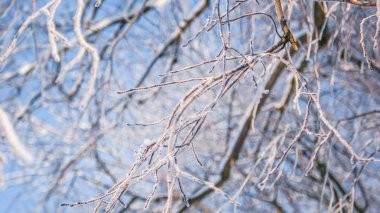 Büyük güzel sıcacık kış manzara Hollanda