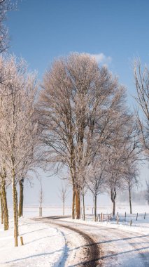 Büyük güzel sıcacık kış manzara Hollanda