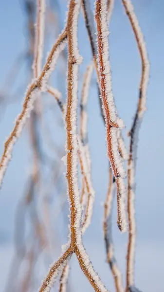 Великолепный уютный зимний пейзаж в Нидерландах — стоковое фото