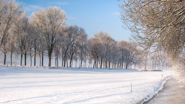 Great nice cozy winter landscape in the Netherlands — Stock Photo, Image