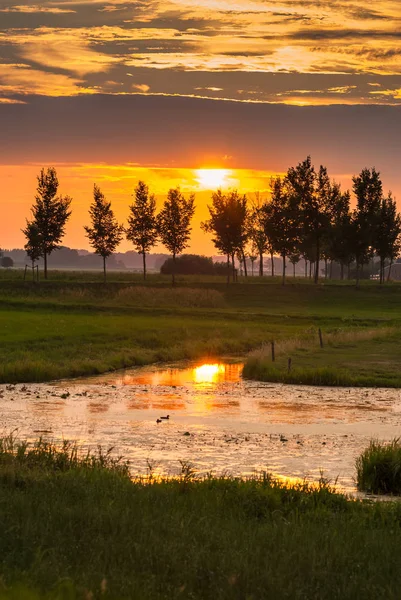 Incrível belo pôr do sol ao longo de diques holandeses — Fotografia de Stock