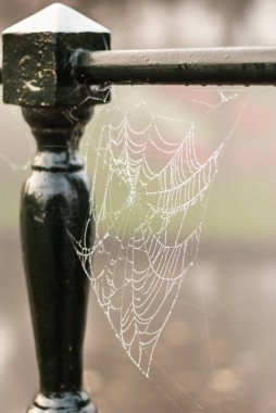 Çit çelik fenc spiderweb