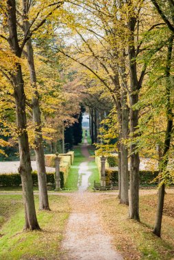 Sonbahar Hollanda'da bir parkta yolu