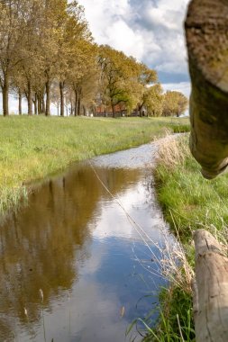 Hollandalı lezbiyen görüntülemek