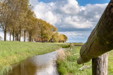 Hollandalı lezbiyen görüntülemek
