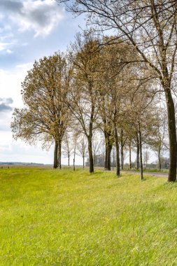 Hollandalı lezbiyen görüntülemek