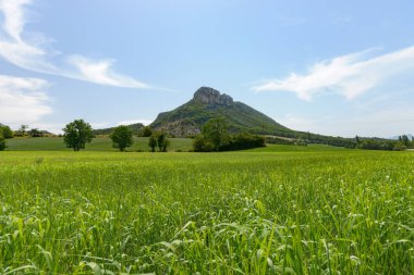 Dağlar, alanları ve vadilerde Avrupa alp