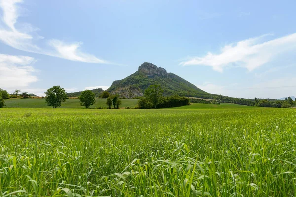 Dağlar, alanları ve vadilerde Avrupa alp