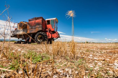Tahıl işleme için kaza ve yanık traktör